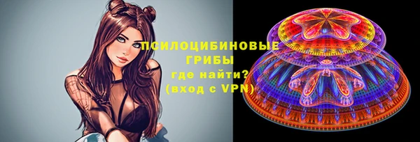 герыч Вязьма