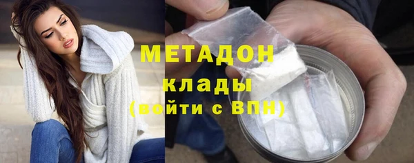 PSILOCYBIN Горняк