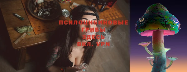 скорость Вяземский