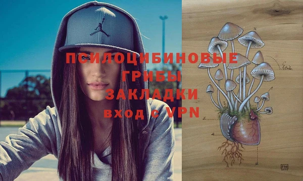 ALPHA PVP Тобольск