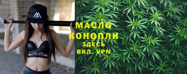 скорость Вяземский