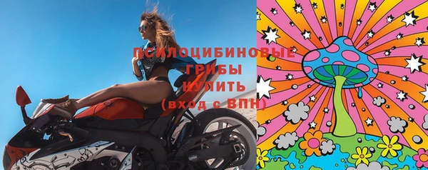 PSILOCYBIN Горняк