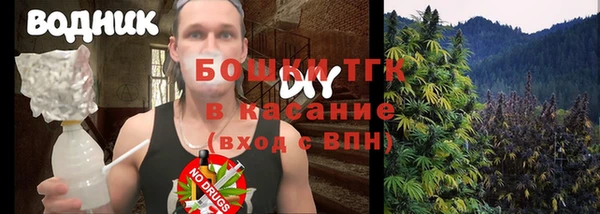 скорость Вяземский