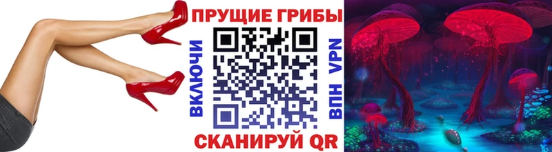 Купить где  Нижняя Салда  Псилоцибиновые грибы GOLDEN TEACHER 